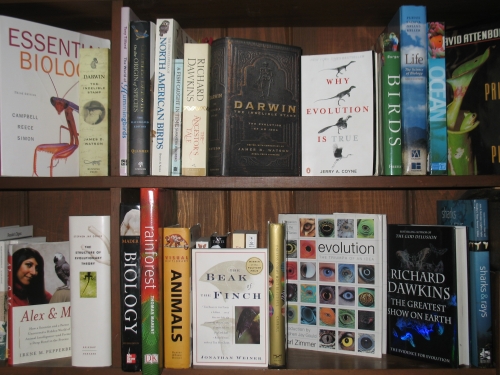 Now That's Wild Bookshelves