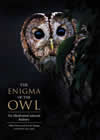 The Enigma of the Owl: An Illustrated Natural History