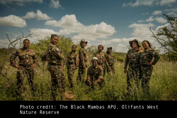 The Black Mambas APU, Olifants West Nature Reserve. Photo credit: 3DE Studios