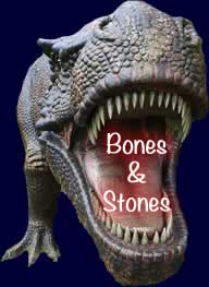 bones Stones